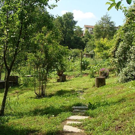 Appartamento In Monferrato Di Dominga Portacomaro Экстерьер фото