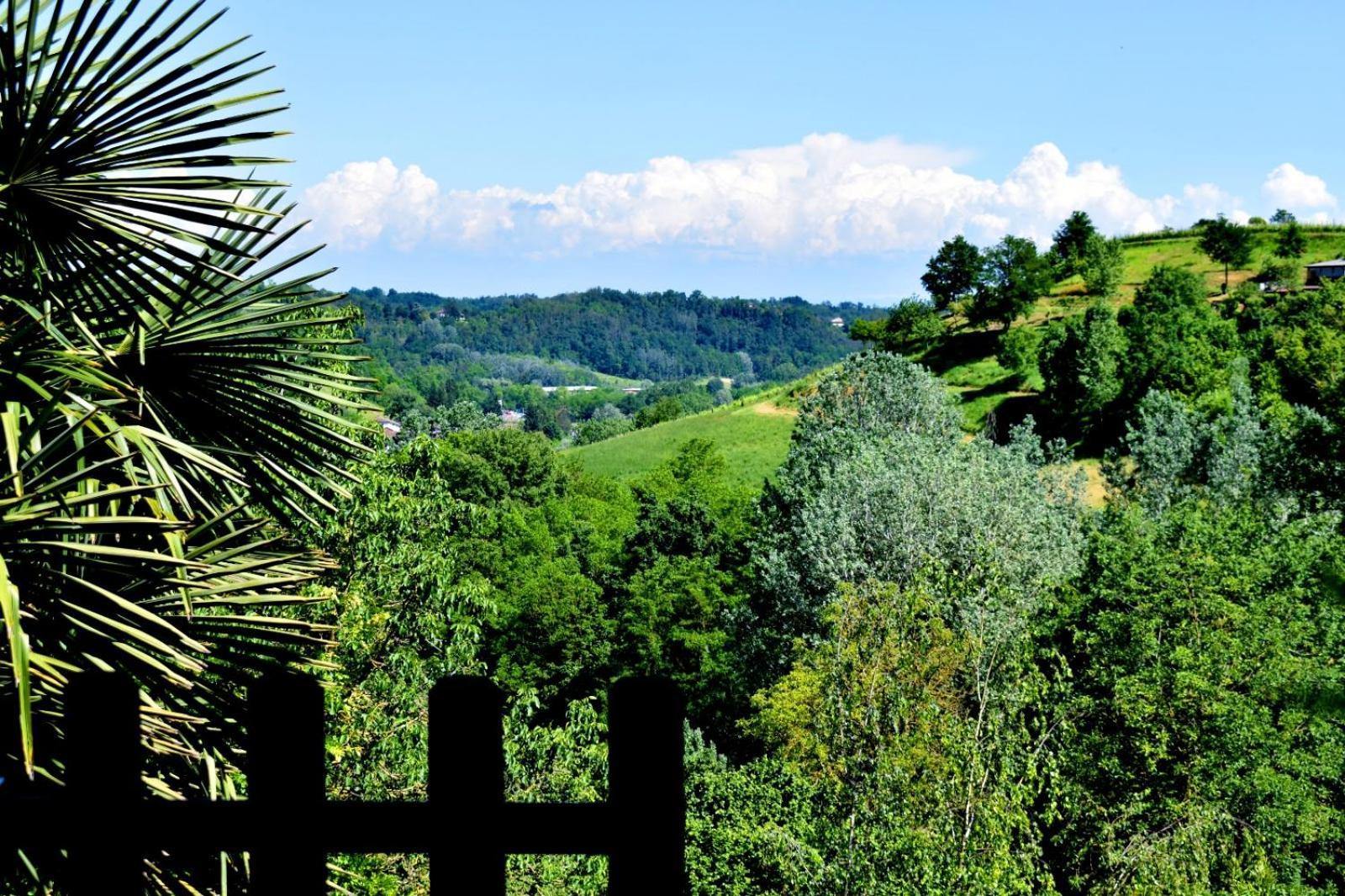 Appartamento In Monferrato Di Dominga Portacomaro Экстерьер фото