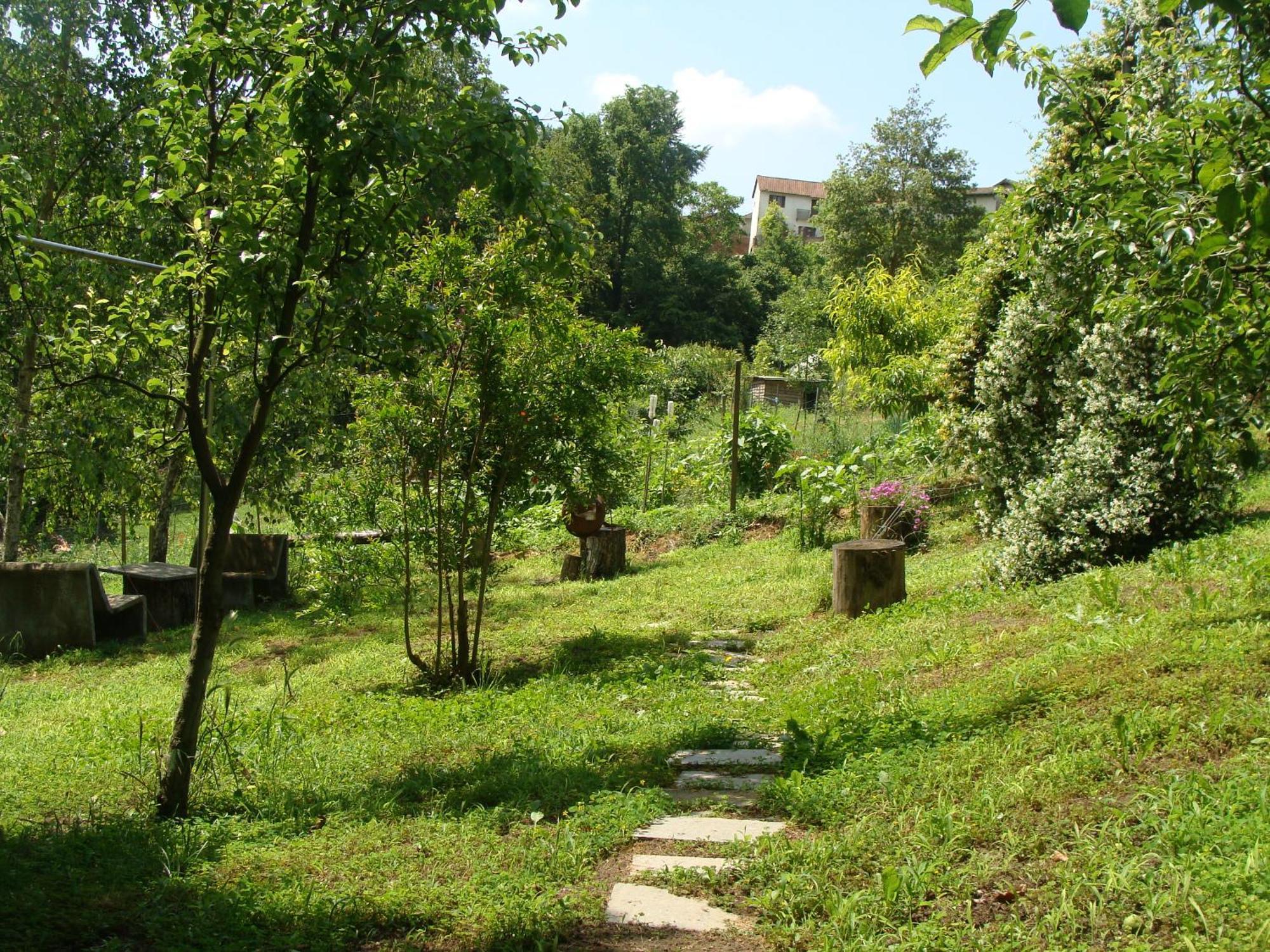 Appartamento In Monferrato Di Dominga Portacomaro Экстерьер фото