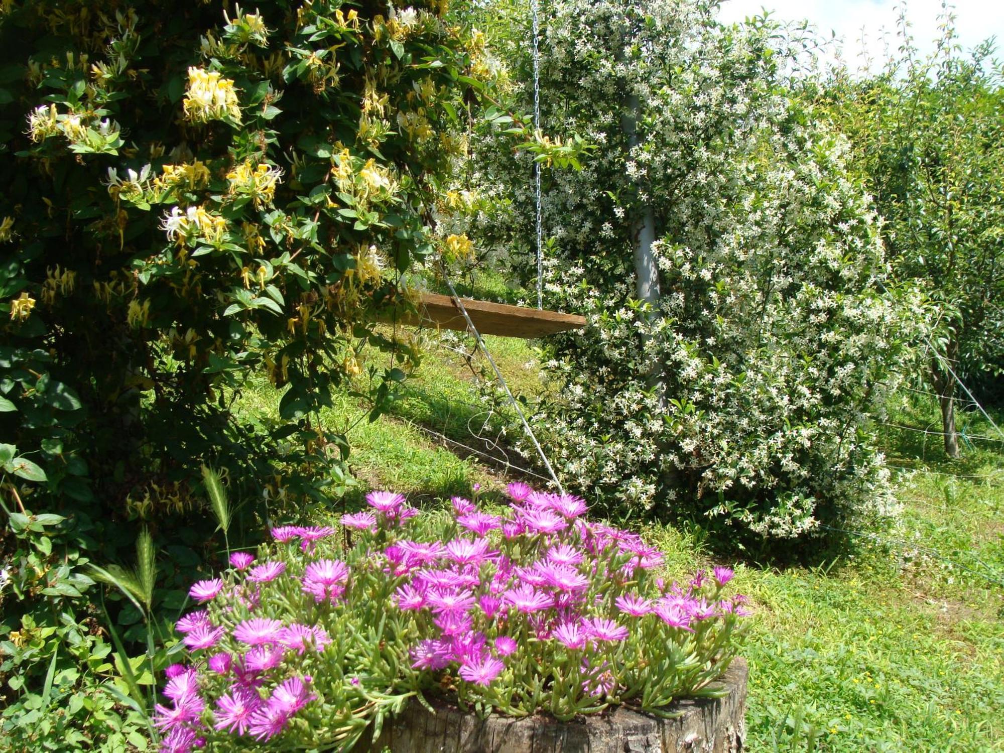 Appartamento In Monferrato Di Dominga Portacomaro Экстерьер фото