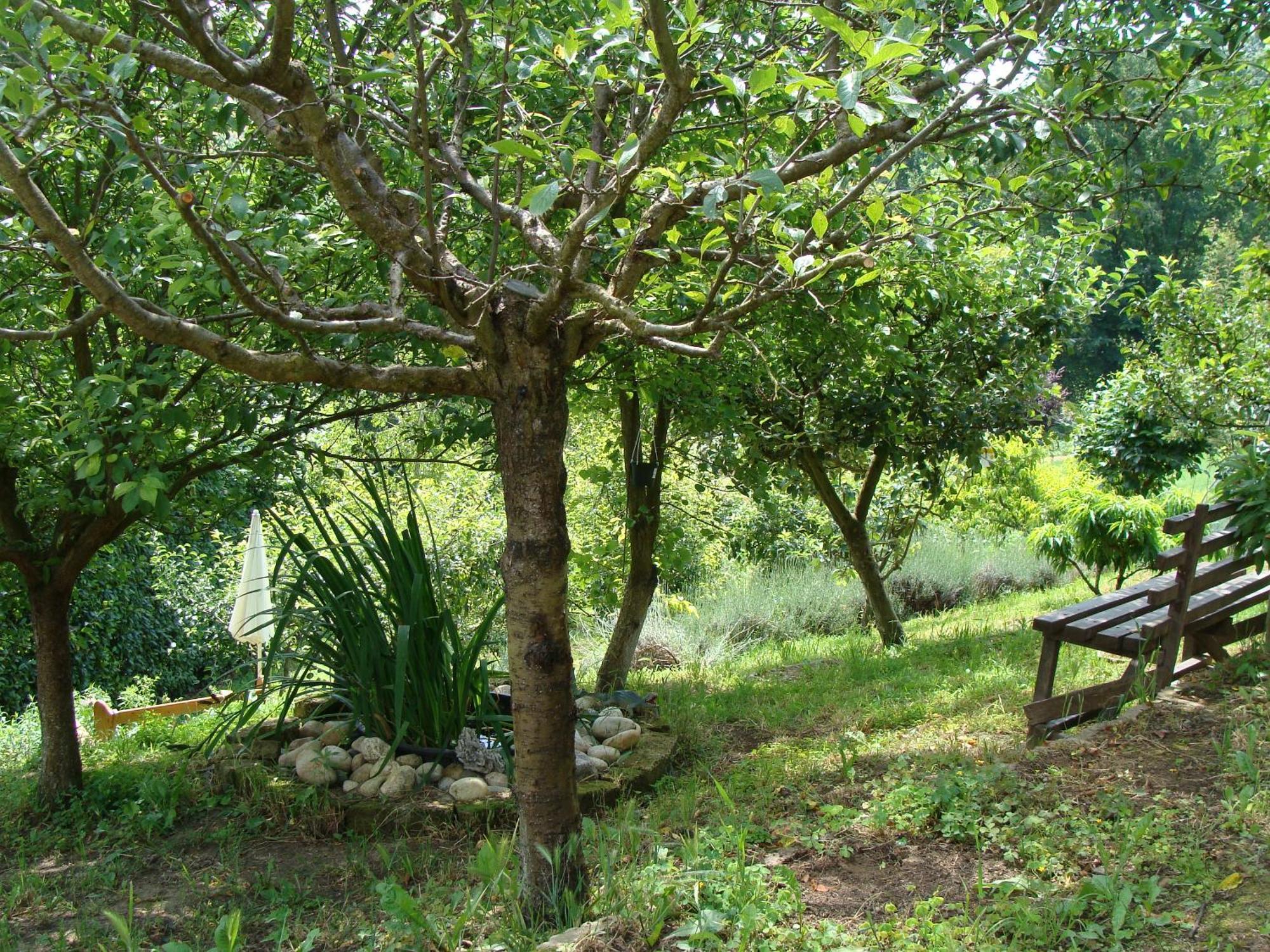 Appartamento In Monferrato Di Dominga Portacomaro Экстерьер фото
