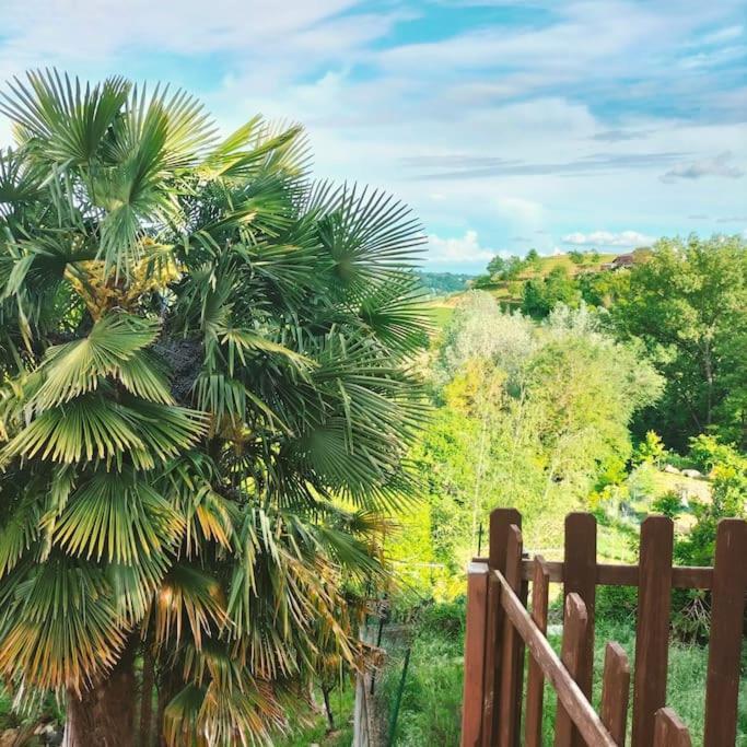 Appartamento In Monferrato Di Dominga Portacomaro Экстерьер фото